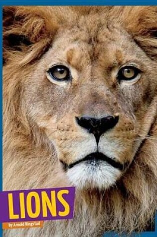 Cover of Lions