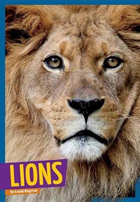 Cover of Lions