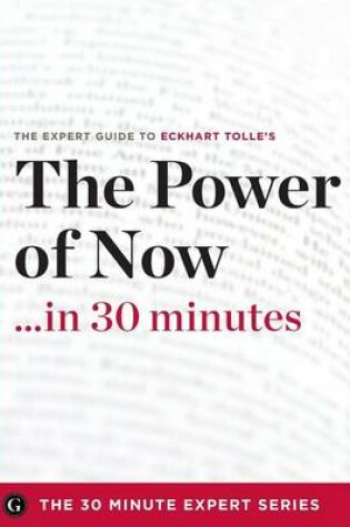 Cover of The Power of Now in 30 Minutes - The Expert Guide to Eckhart Tolle's Critically Acclaimed Book
