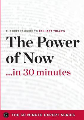 Book cover for The Power of Now in 30 Minutes - The Expert Guide to Eckhart Tolle's Critically Acclaimed Book