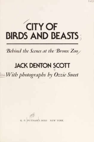 Cover of City of Birds and Beasts