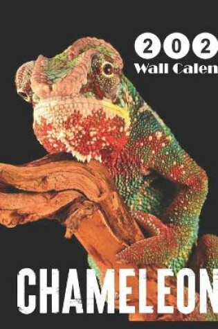 Cover of chameleon