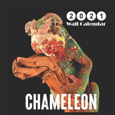 Book cover for chameleon