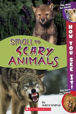 Book cover for Now You See It! Small to Scary Animals