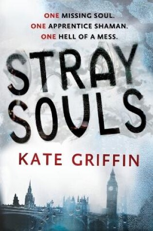 Cover of Stray Souls