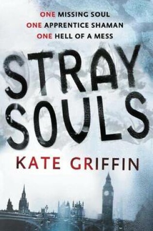 Cover of Stray Souls