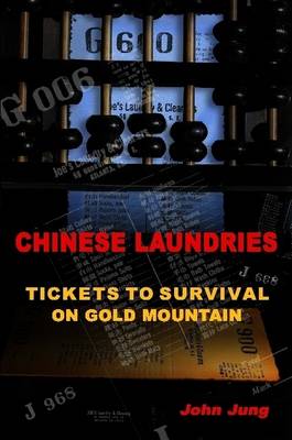 Book cover for Chinese Laundries