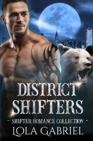 Cover of District Shifters