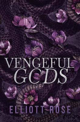 Book cover for Vengeful Gods