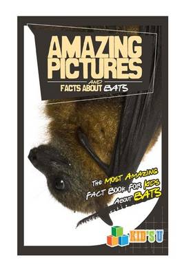 Book cover for Amazing Pictures and Facts about Bats