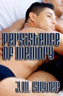 Book cover for Persistence of Memory