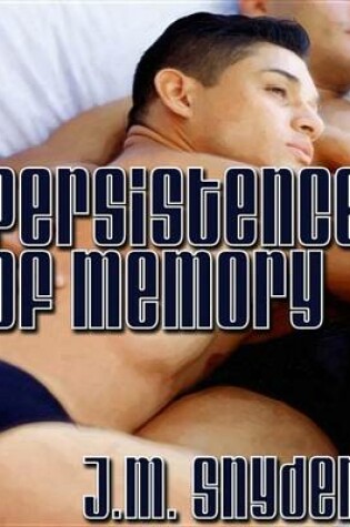 Cover of Persistence of Memory