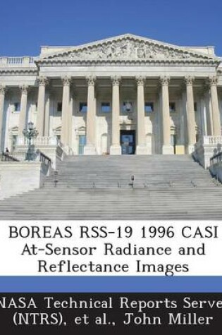 Cover of Boreas Rss-19 1996 Casi At-Sensor Radiance and Reflectance Images