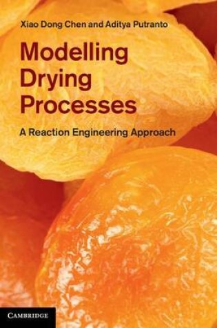 Cover of Modelling Drying Processes