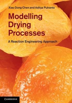 Book cover for Modelling Drying Processes