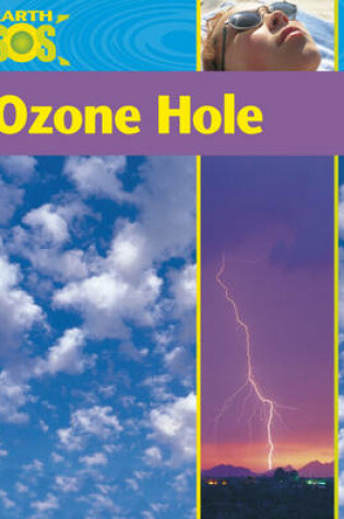 Cover of Ozone Hole
