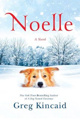 Book cover for Noelle