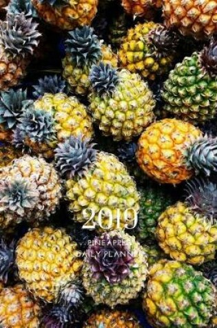 Cover of 2018 2019 Pineapple 15 Months Daily Planner