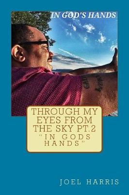 Book cover for Through My Eyes From The Sky, Part 2; In God's Hands