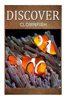 Book cover for Clown Fish - Discover