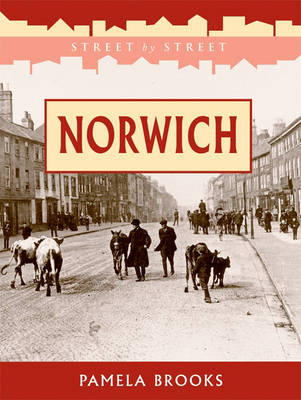 Book cover for Norwich