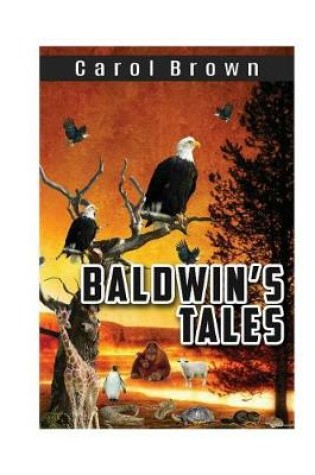 Cover of Baldwin's Tales