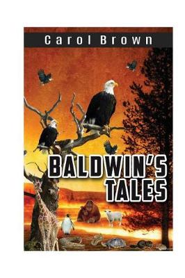 Book cover for Baldwin's Tales