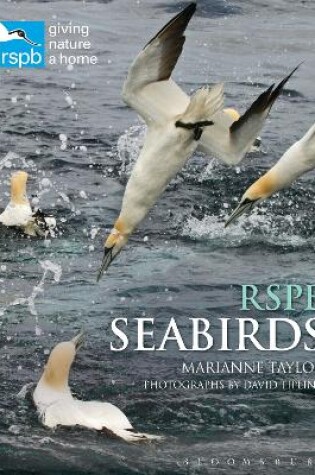 Cover of RSPB Seabirds