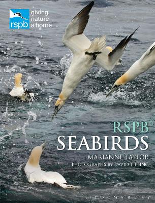 Book cover for RSPB Seabirds