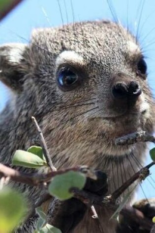 Cover of Hyrax in a Tree in Namibia Africa Animal Journal