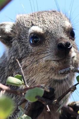 Book cover for Hyrax in a Tree in Namibia Africa Animal Journal