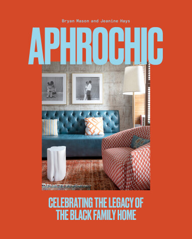 Book cover for AphroChic