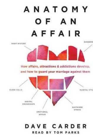 Cover of Anatomy of an Affair