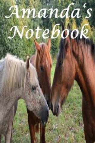 Cover of Amanda's Notebook