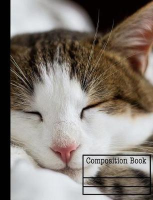 Book cover for Kitty Cat Composition Book - Graph Paper - 5x5 Grid