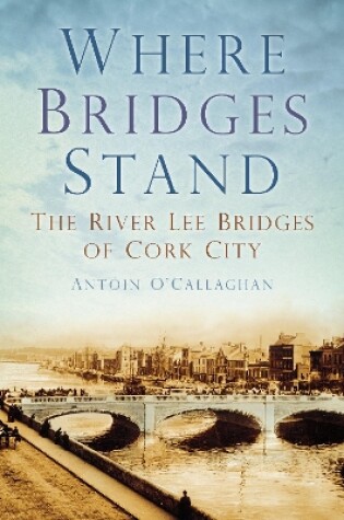 Cover of Where Bridges Stand