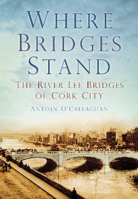 Cover of Where Bridges Stand