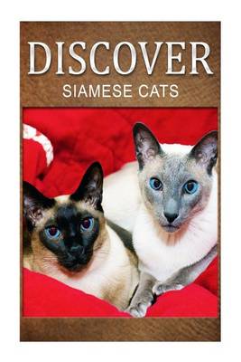 Book cover for Siamese Cats - Discover