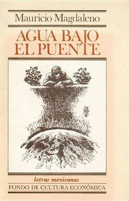 Cover of Agua Bajo El Puente