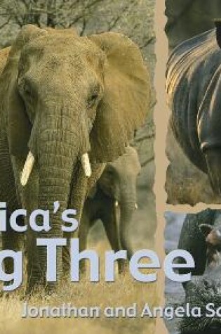Cover of Africa's Big Three