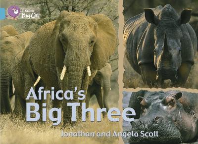 Book cover for Africa's Big Three