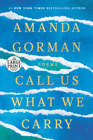 Book cover for Call Us What We Carry