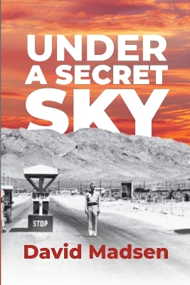 Book cover for Under a Secret Sky