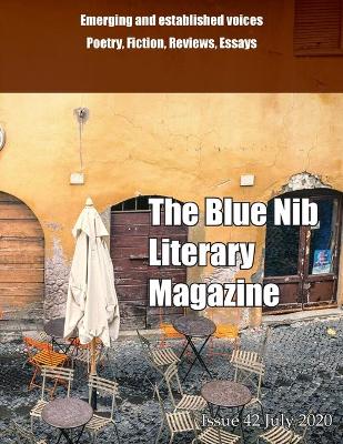 Book cover for The Blue Nib Literary Magazine