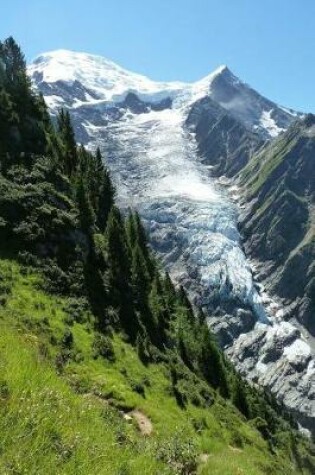 Cover of A Mountain Glacier in the Summer Nature Journal