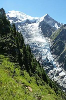 Book cover for A Mountain Glacier in the Summer Nature Journal