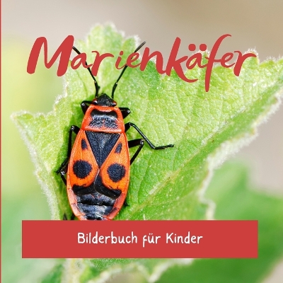 Cover of Marienk�fer