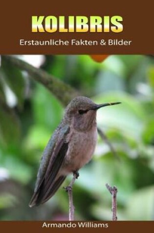 Cover of Kolibris