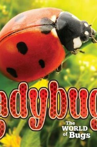 Cover of Ladybugs