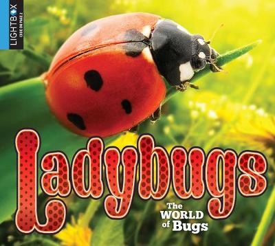 Cover of Ladybugs